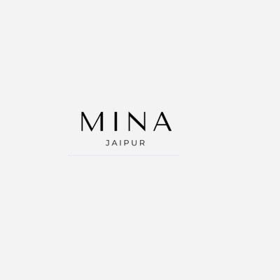 Mina Jaipur Profile Picture