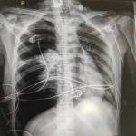 arnab barman Profile Picture