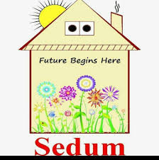 Sedum School Profile Picture