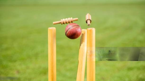 World Cup Profile Picture