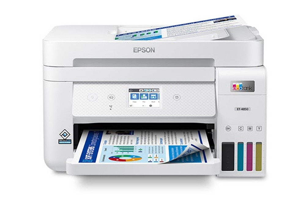 Rechal Rose Profile Picture