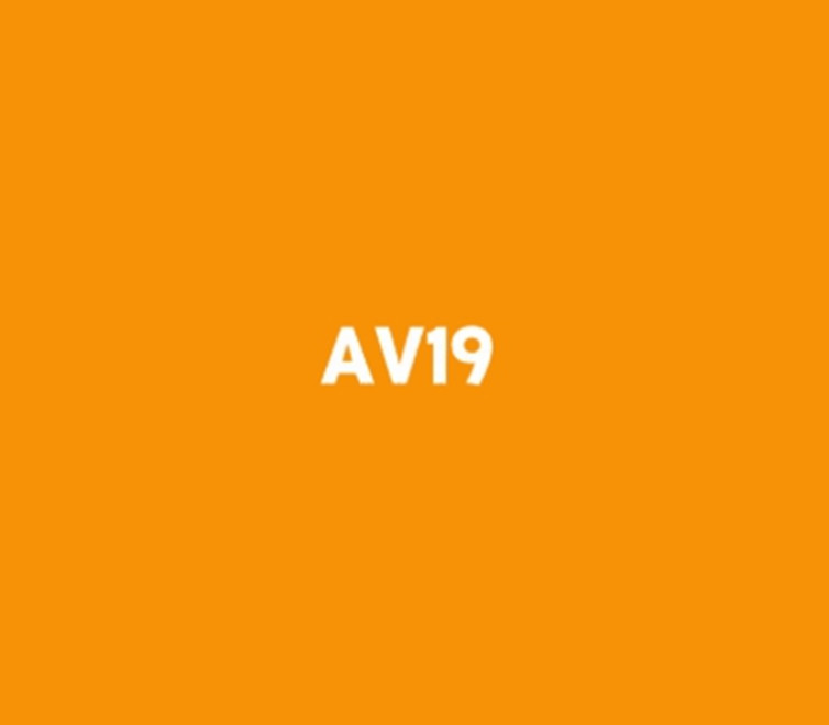 AV Korea Profile Picture