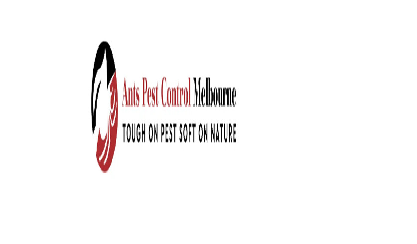 Ant Pest Control Profile Picture