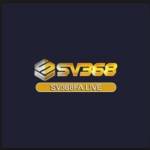 SV368 Profile Picture