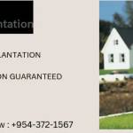 ac flagreg Profile Picture