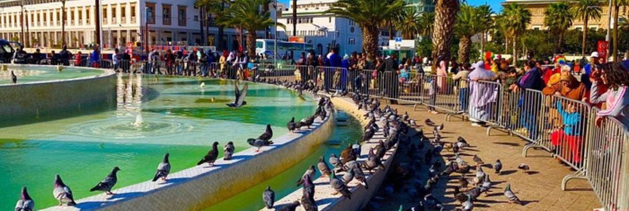 Royal Air Maroc Casablanca Office in Morocco