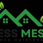 lessmess gardens Profile Picture