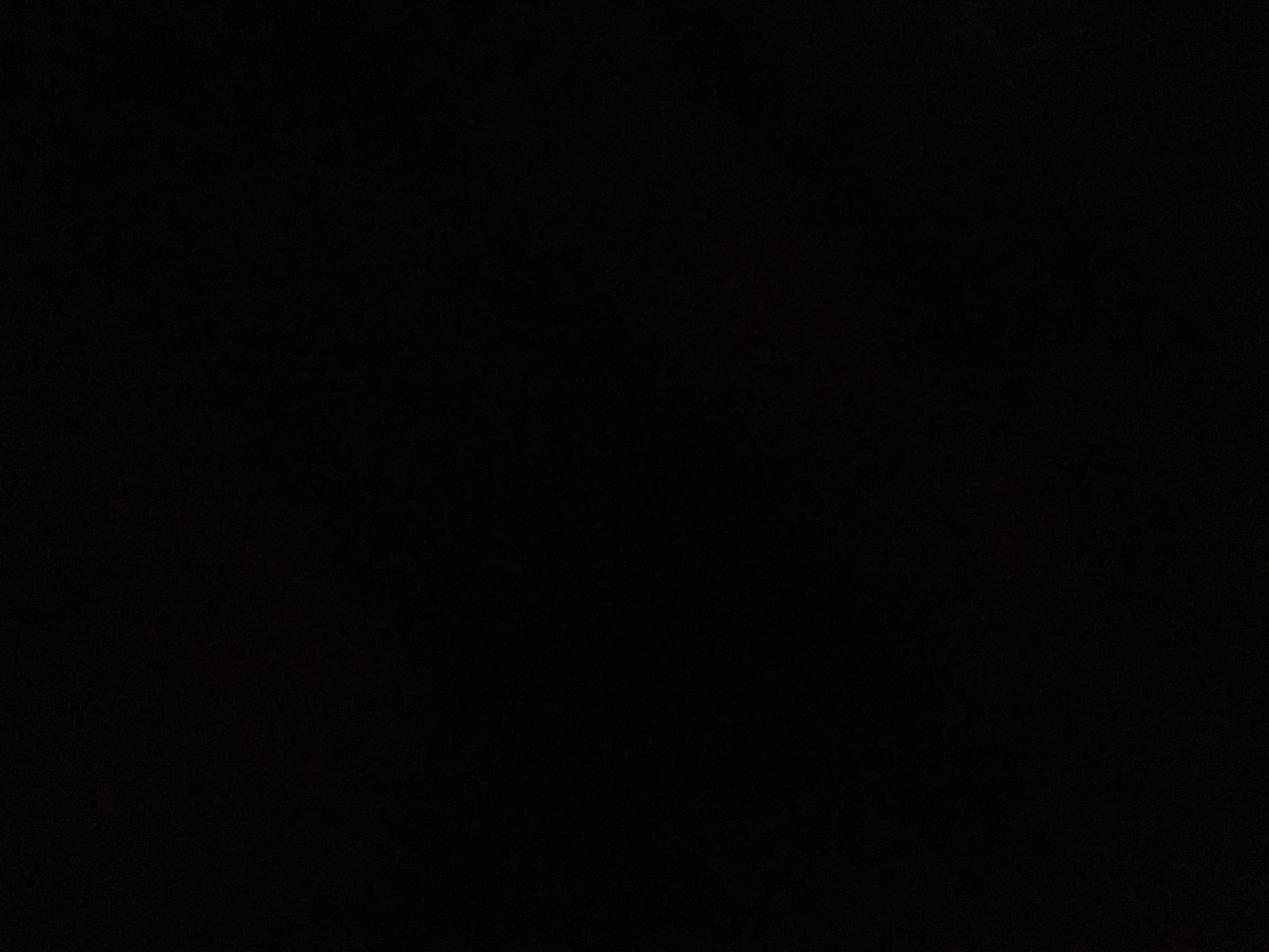 Alex Costa Profile Picture