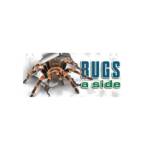 Bugs A Side Pest Control services Profile Picture