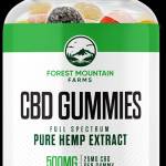 HelenSOglesby HelenSOglesby Profile Picture