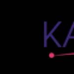 Mena Kart Profile Picture