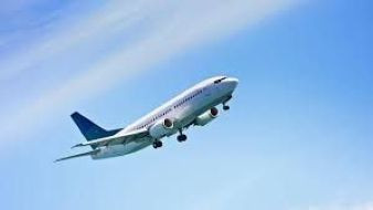 flighta official Profile Picture