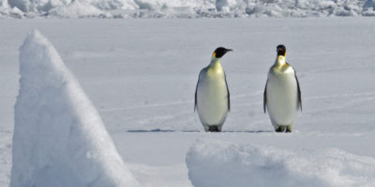 Games online Games online