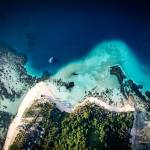 Crowd Reply Profile Picture