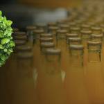 Trigen DC Profile Picture