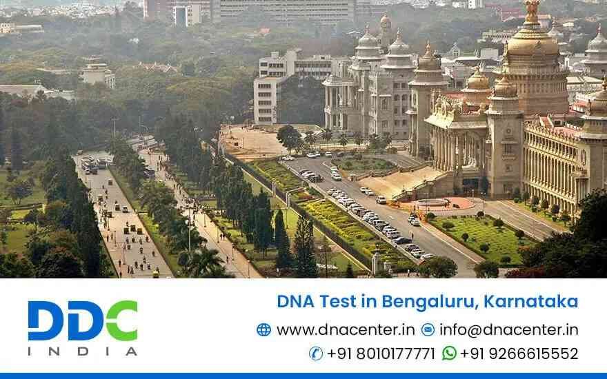 DNA Test in Bengaluru, Karnataka - DDC Laboratories India