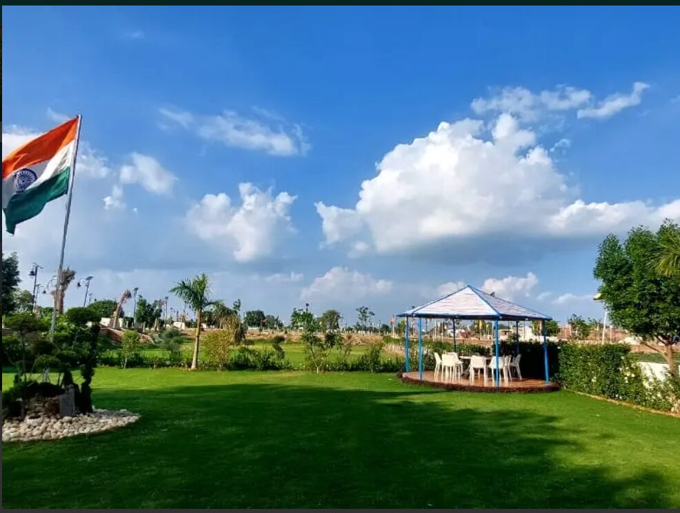 Plots in Jewar Airport City – A Promising Investment Hub - Tri Art Estate