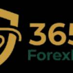 Forex Broker Profile Picture