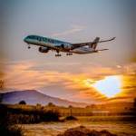 Flighta Official Profile Picture