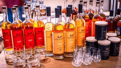 prohealth services Profile Picture