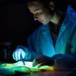 Guest Post Publisher Profile Picture