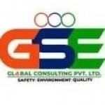 Global Consulting Pvt Ltd Profile Picture