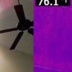 Sarah David Profile Picture