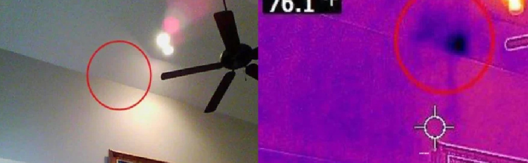 Sarah David Profile Picture