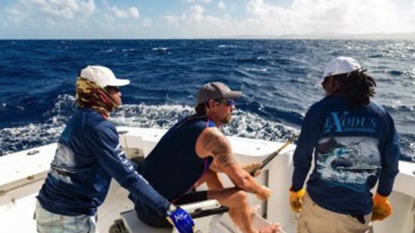 From KlickPin CF Discover the Underwater Wonders Snorkeling in St Lucia with Exodus in 2025 _ Best snorkeling Snorkeling Underwater world | Pearltrees