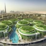 Land Scaping Profile Picture