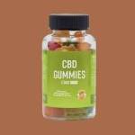 JorgeMTrany JorgeMTrany Profile Picture