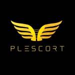 Plescort Profile Picture