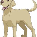 Aara dhana Profile Picture