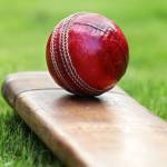 Online cricket Profile Picture