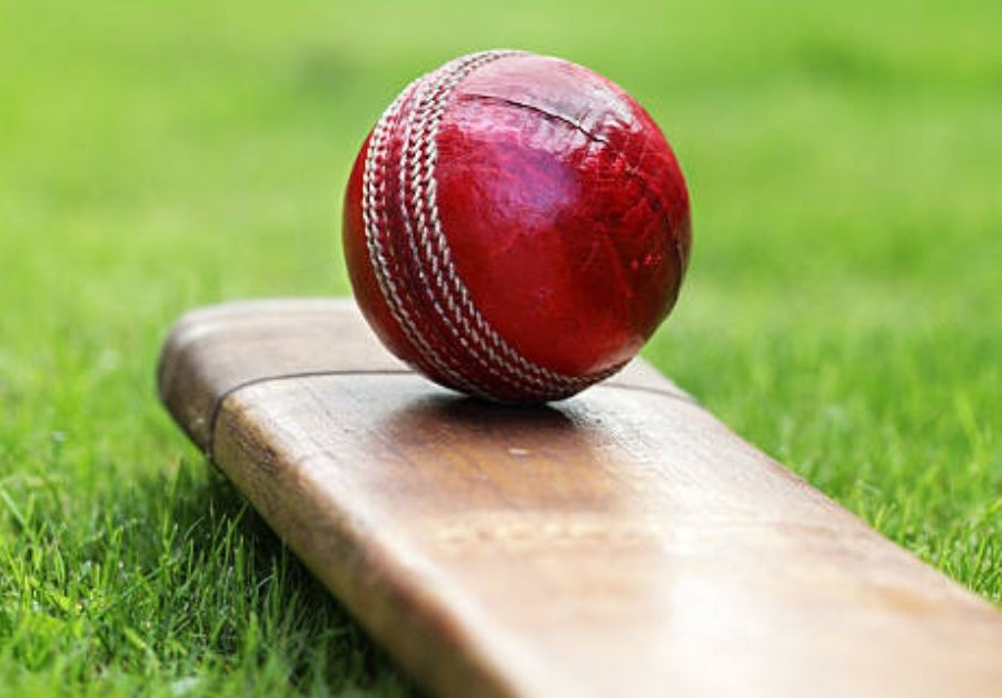 Online cricket Profile Picture