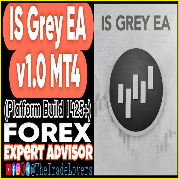 IS Grey EA v1.0 MQ4 Source Code (Works on Build 1443+) | Forex Robot | MT4 Expert Advisor - The Trade Lovers