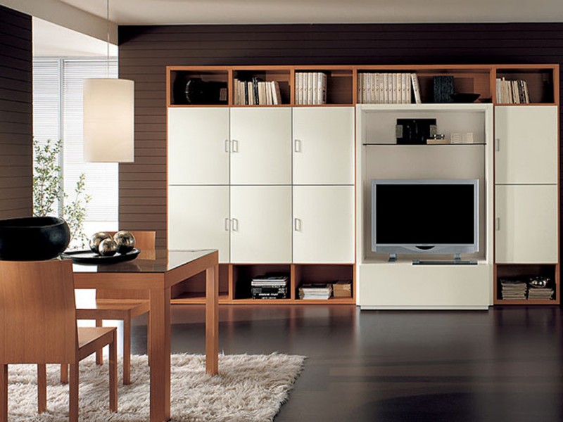 Wall Cabinets in Dubai | Ayesh Technical Services-0545064120