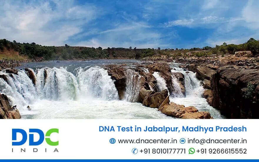 DNA Test in Jabalpur, Madhya Pradesh