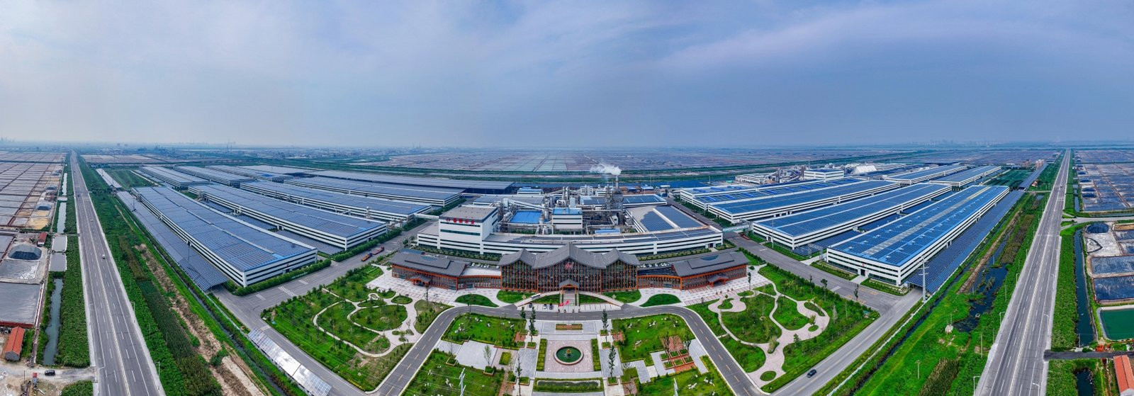 Shams Haider Profile Picture