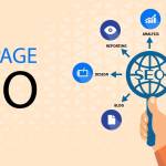 amna digitaltraining Profile Picture