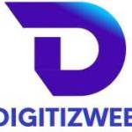digitiz web Profile Picture