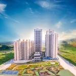 Reeltor Official Profile Picture