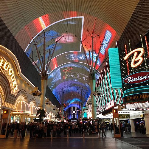 Arina Ignatova Profile Picture