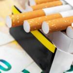 Tobacco Stock Profile Picture