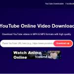 David Profile Picture