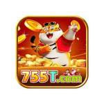 755t Profile Picture