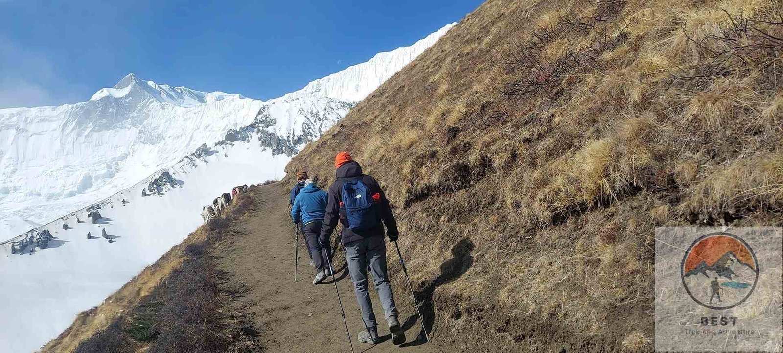 Annapurna Circuit Trek 14 Days - Best Treks and Adventure / Nepal Trek