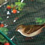 wilsonwikki wilsonwikki Profile Picture