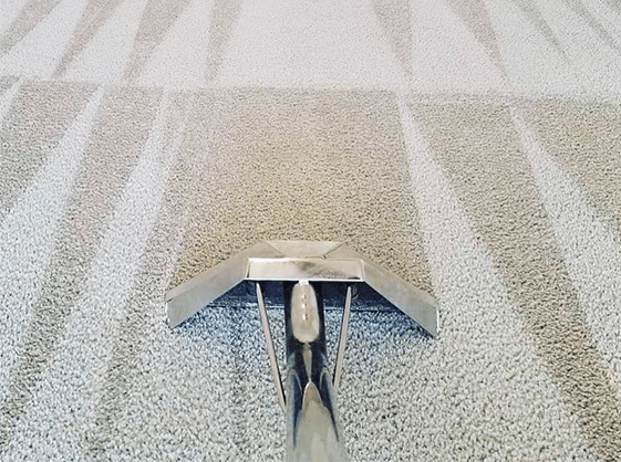 Carpet Cleaning Colchester CO1 | 21 000+ Positive Reviews