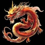 Naga5000 Point Profile Picture